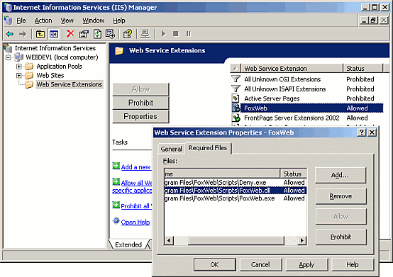 Configuring Web Service Extensions on IIS 6 and above